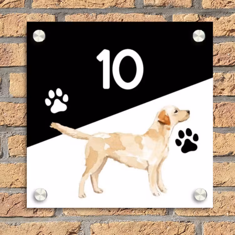Zwart wit - Huisdier - Labrador Naambord Vierkant klein -sfeer1