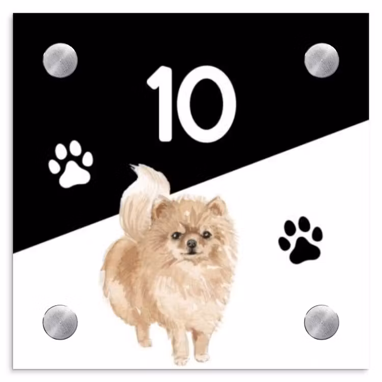 Zwart wit - Huisdier - Pomeranian Naambord Vierkant klein -3d