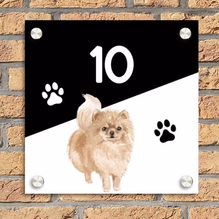 Zwart wit - Huisdier - Pomeranian Naambord Vierkant klein -sfeer1