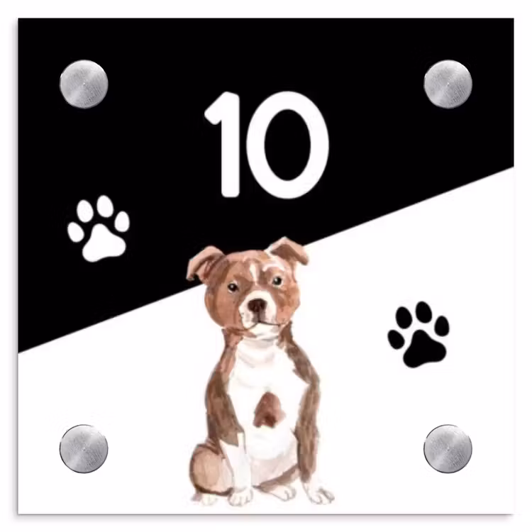 Zwart wit - Huisdier - Staffordshire bullterriër Naambord Vierkant klein -3d