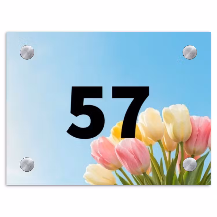 Gekleurde tulpen lucht - Traditioneel Naambord Rechthoek middel -3d