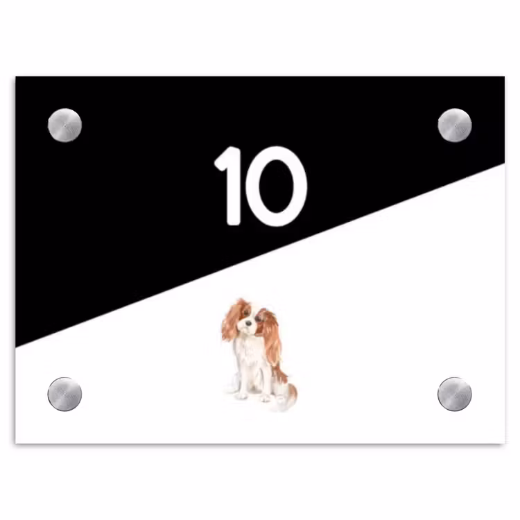 Zwart wit - Huisdier - Cavalier King Charles Spaniël Naambord Rechthoek middel -3d