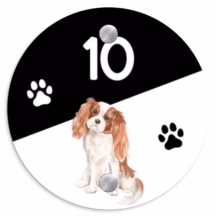 Zwart wit - Huisdier - Cavalier King Charles Spaniël Naambord Rond klein -3d