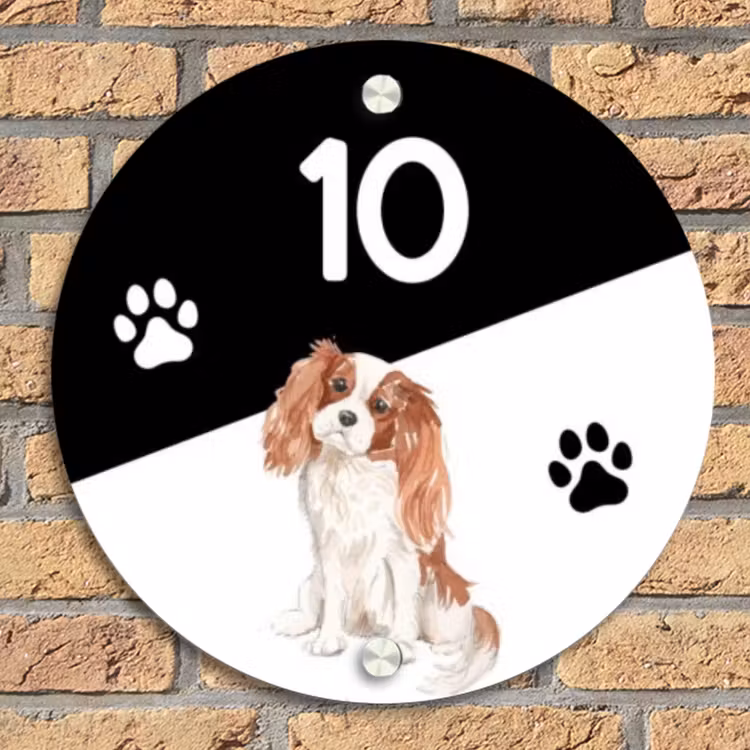 Zwart wit - Huisdier - Cavalier King Charles Spaniël Naambord Rond klein -sfeer1