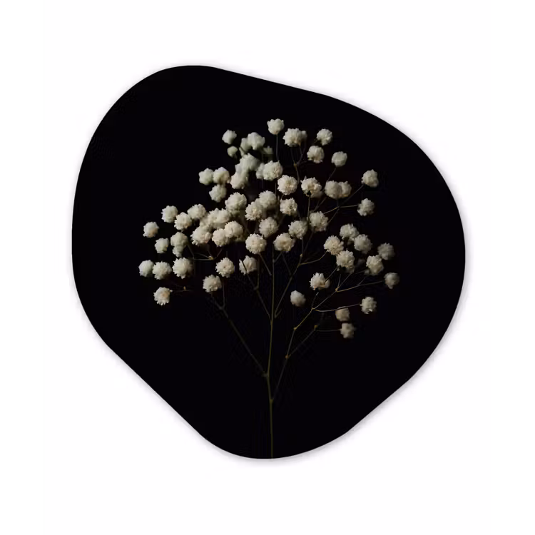 Gipskruid - Bloemetjes - Wit - Minimalistisch Wandcirkel Organisch Aluminium middel -3d