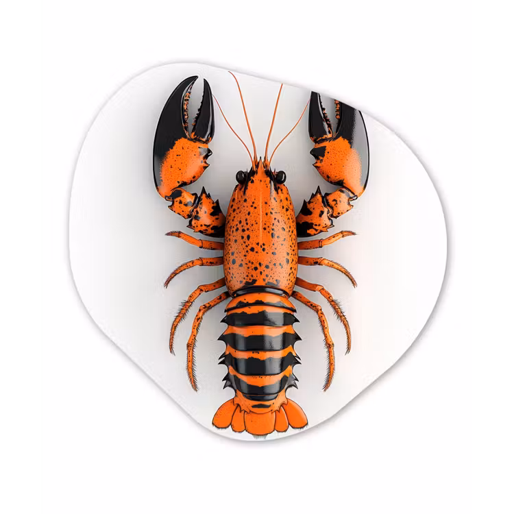 Kreeft - Zwart - Oranje - Wit - Uniek Wandcirkel Organisch Aluminium middel -3d
