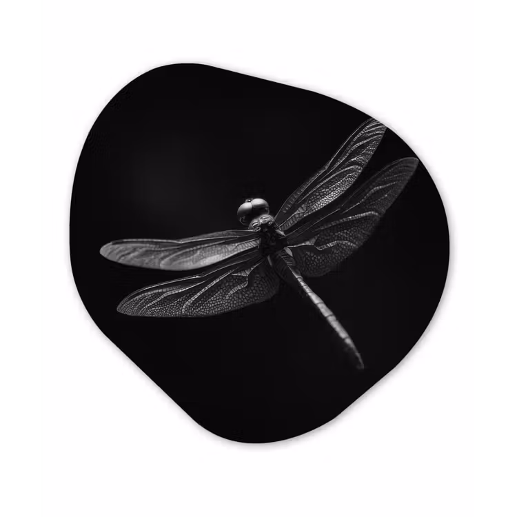 Libelle - Dieren - Zwart - Insect Wandcirkel Organisch Aluminium middel -3d