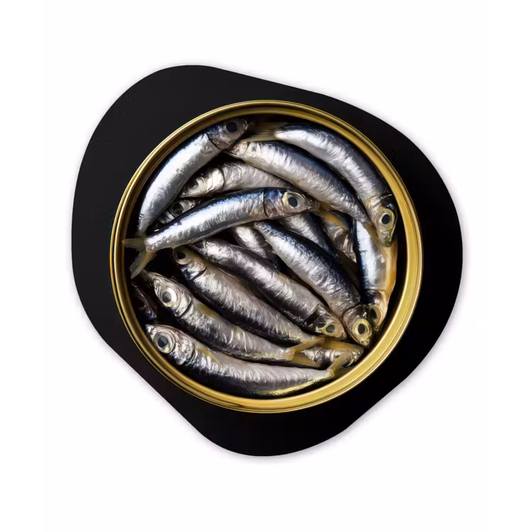 Sardines - Vissen - Rond - Zwart Wandcirkel Organisch Aluminium middel -3d