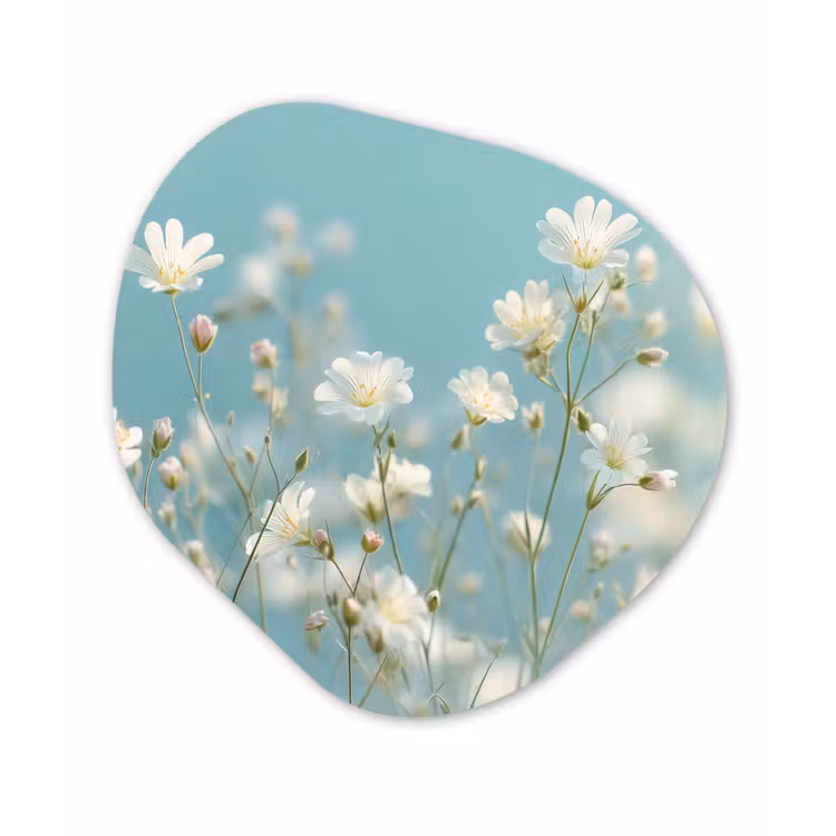 Stengels - Bloemen - Lucht - Wit Wandcirkel Organisch Aluminium middel -3d