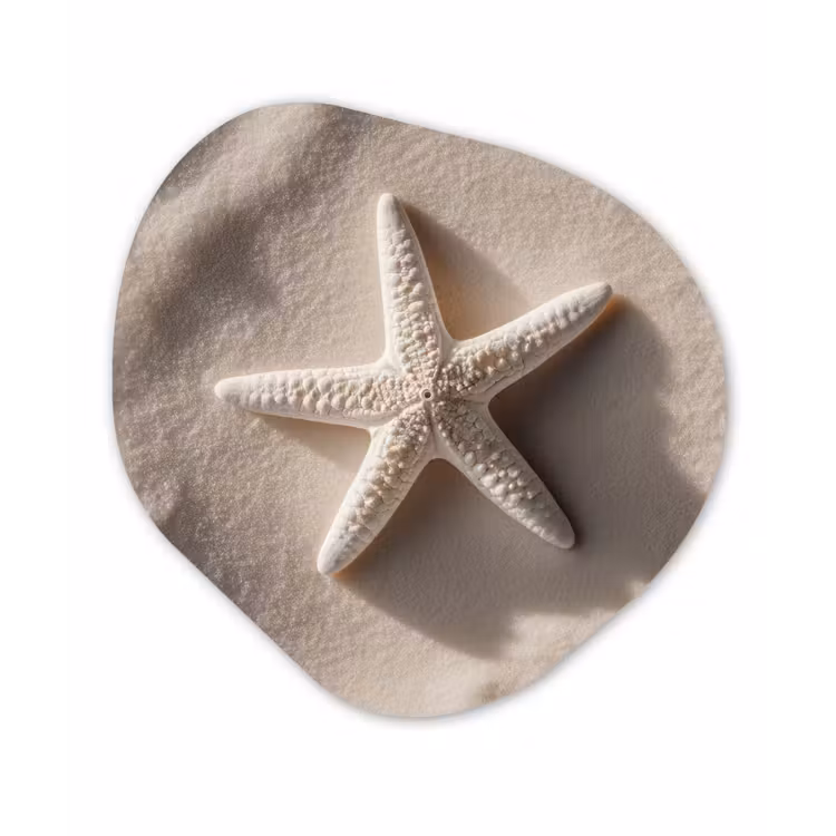 Strand - Zeester - Zand - Beige Wandcirkel Organisch Aluminium middel -3d