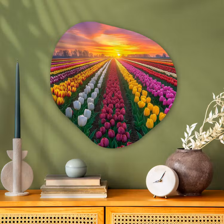 Tulpenveld - Zonsondergang - Kleurrijk Wandcirkel Organisch Aluminium middel -sfeer2