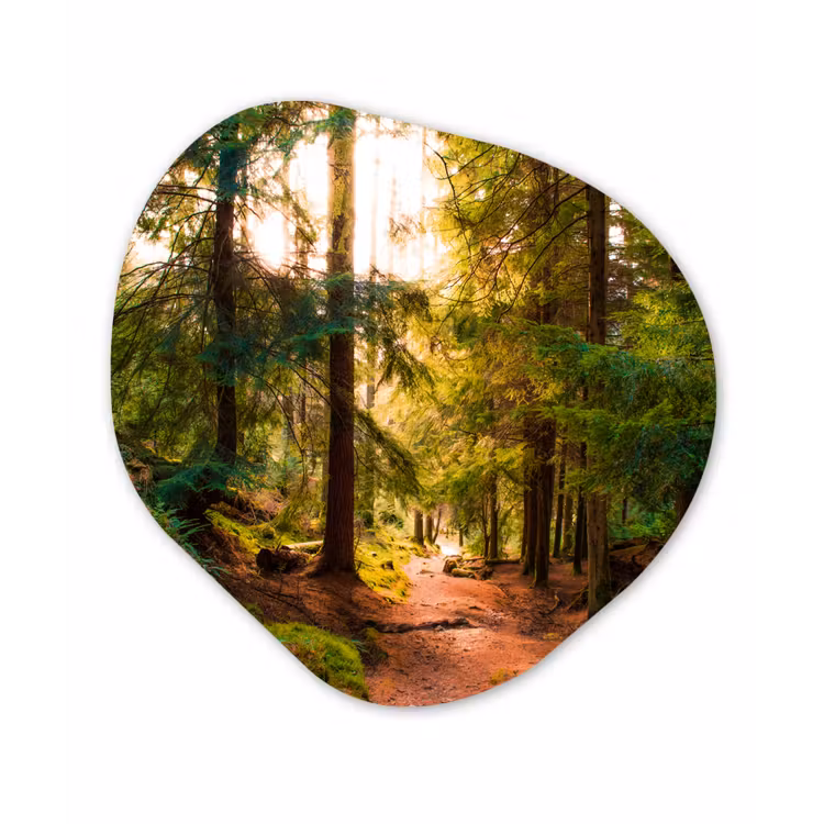 Bos - Pad - Bomen - Groen - Zon - Natuur Wandcirkel Organisch Forex 3mm klein -3d