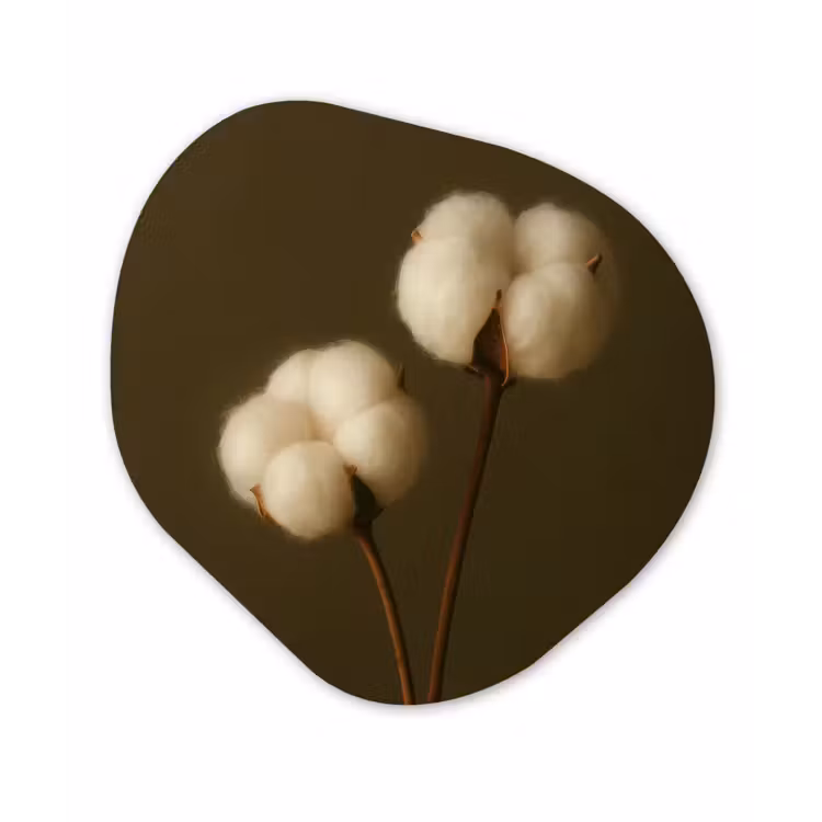 Takken - Katoen - Wit - Bollen Wandcirkel Organisch Plexiglas middel -3d