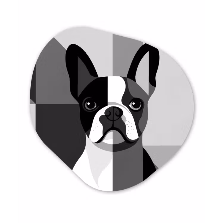Buldog - Zwart - Abstract - Vlakken Wandcirkel Organisch Plexiglas middel -3d
