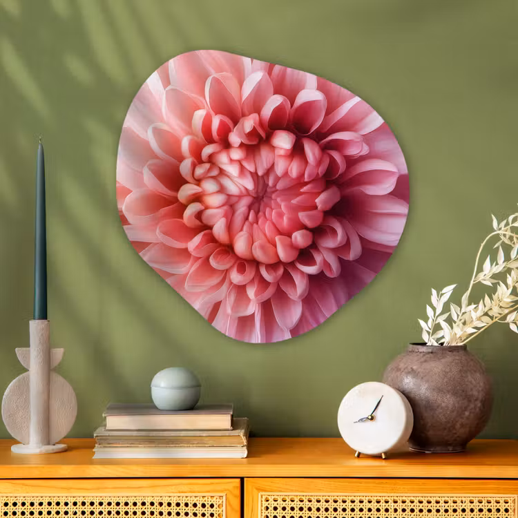 Dahlia - Bloem - Close up - Roze Wandcirkel Organisch Plexiglas middel -sfeer2
