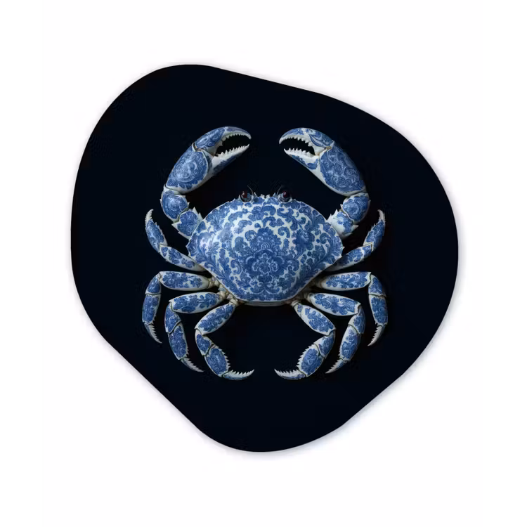 Krab - Delfts blauw - Dieren Wandcirkel Organisch Plexiglas middel -3d