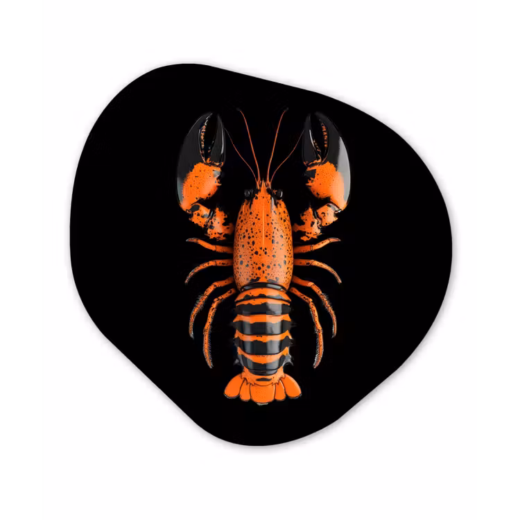 Kreeft - Oranje - Zwart - Modern Wandcirkel Organisch Plexiglas middel -3d