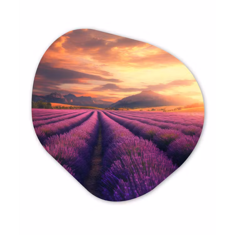 Lavendelveld - Zonsondergang - Paars Wandcirkel Organisch Plexiglas middel -3d