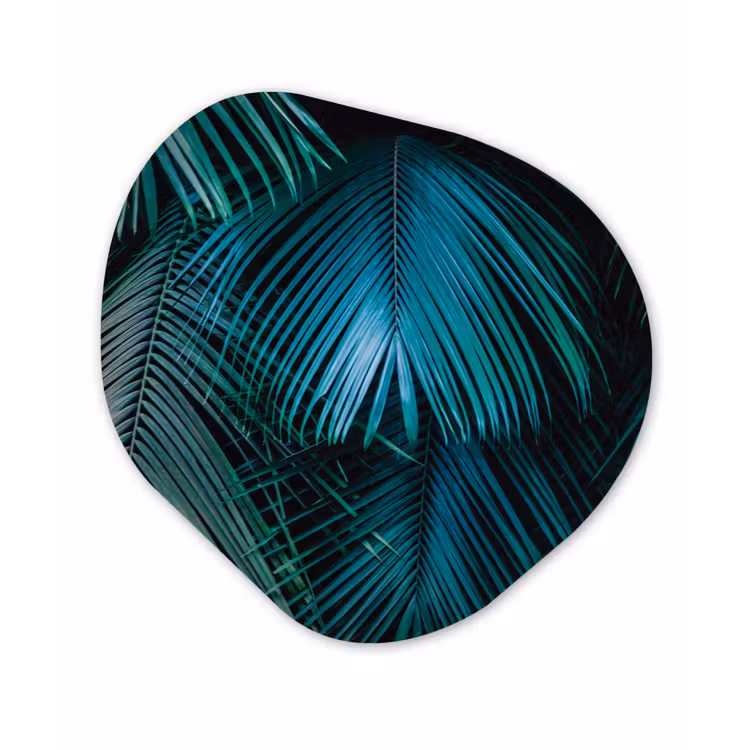 Palmblad - Tropisch - Natuur - Jungle Wandcirkel Organisch Plexiglas middel -3d