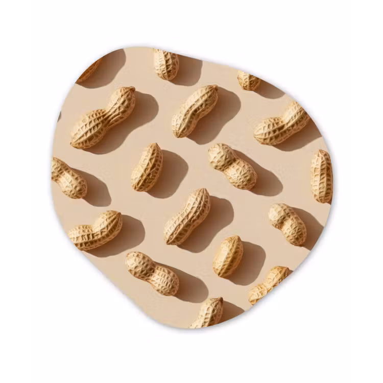 Pinda's - Patroon - Beige Wandcirkel Organisch Plexiglas middel -3d