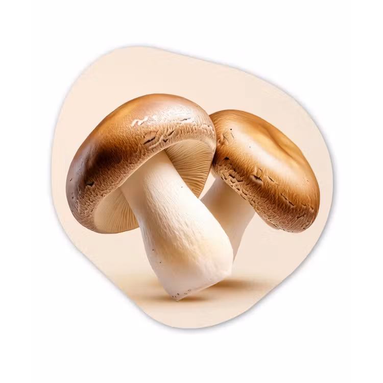 Champignons - Zacht - Beige Wandcirkel Organisch Plexiglas middel -3d