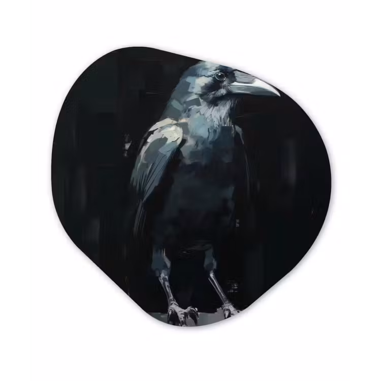 Raaf - Vogels - Zwart Wandcirkel Organisch Plexiglas middel -3d