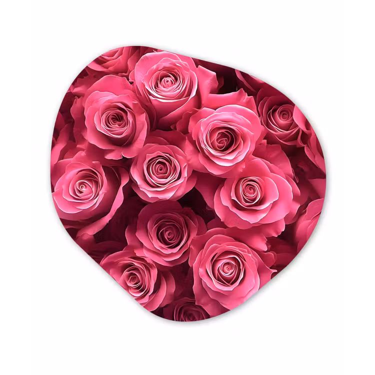 Rozen - Pink - Bloem Wandcirkel Organisch Plexiglas middel -3d