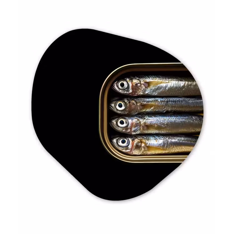Sardines - Blik - Zwart - Vissen Wandcirkel Organisch Plexiglas middel -3d