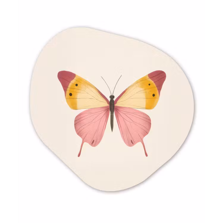 Vlinder - Illustratie - Roze Wandcirkel Organisch Plexiglas middel -3d
