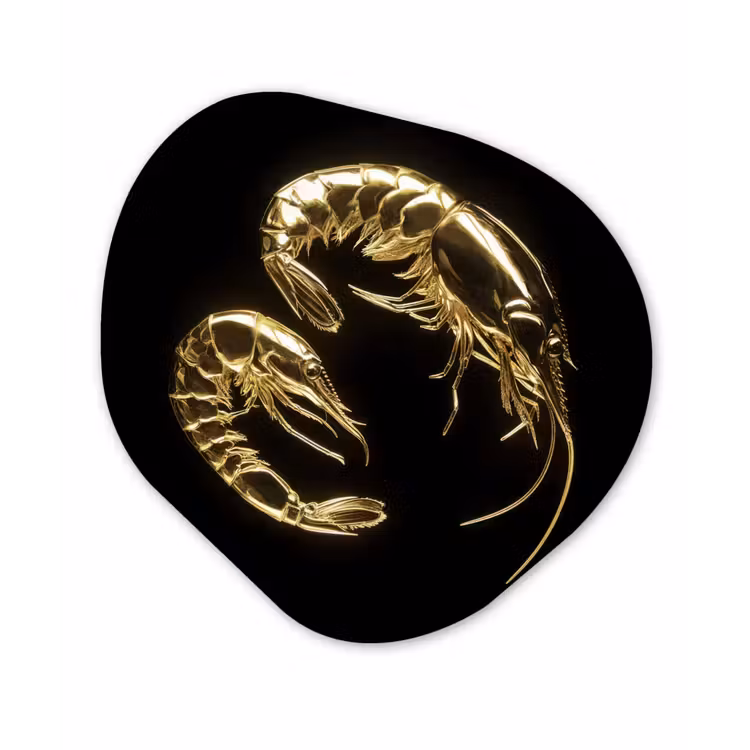 Garnalen - Zwart - Goud - Dieren Wandcirkel Organisch Plexiglas middel -3d