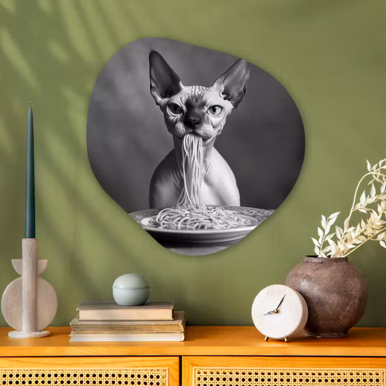 Sphynx - Kat - Dieren - Humor - Spaghetti - Zwart Wit Wandcirkel Organisch Plexiglas middel -sfeer2