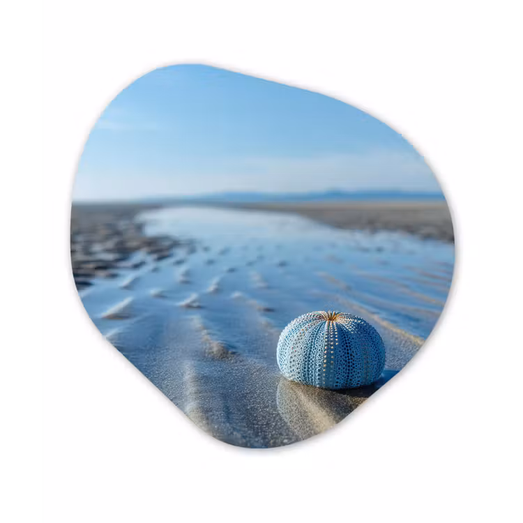 Strand - Schild - Water - Blauw Wandcirkel Organisch Plexiglas middel -3d