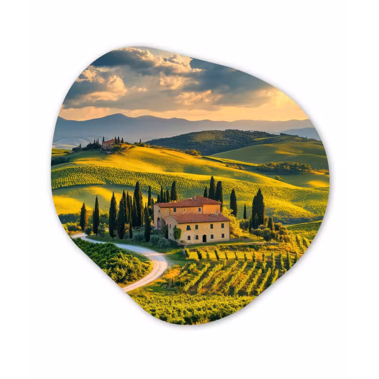 Toscane - Landschap - Wijngaarden Wandcirkel Organisch Plexiglas middel -3d