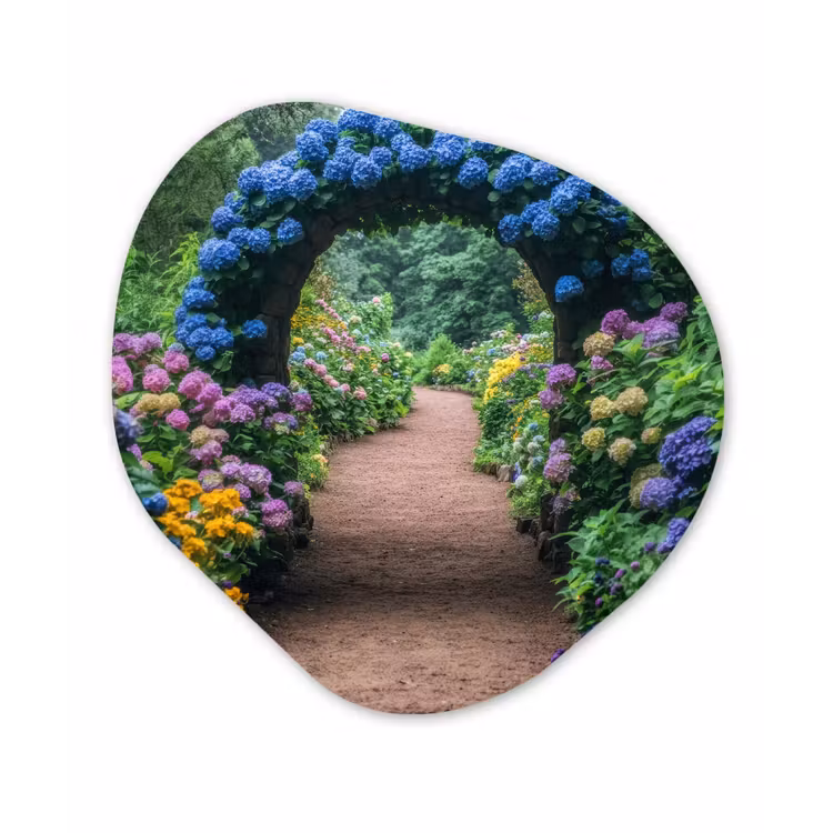 Doorkijk - Bloemen - Hortensia - Pad Wandcirkel Organisch Plexiglas middel -3d