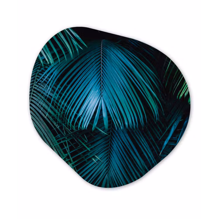 Inductie beschermer - Inductie afdekplaat - Tropical - Jungle - Bladeren - Groen Wandcirkel Organisch Plexiglas middel -3d