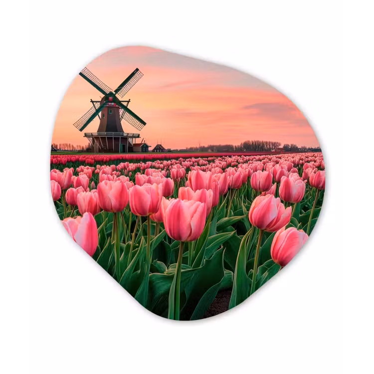 Tulpen - Molen - Nederland Wandcirkel Organisch Plexiglas middel -3d