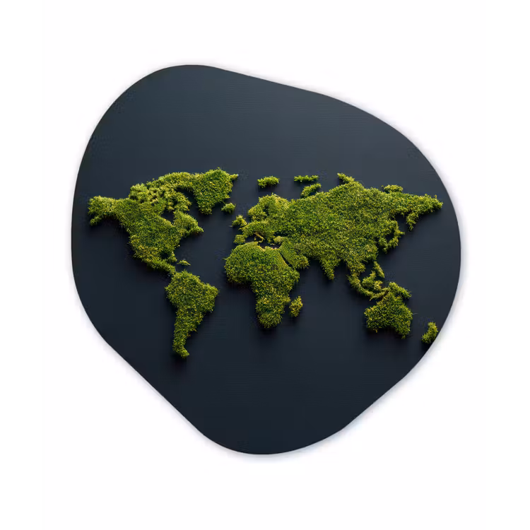 Wereldkaart - Mos -Levendig effect Wandcirkel Organisch Plexiglas middel -3d