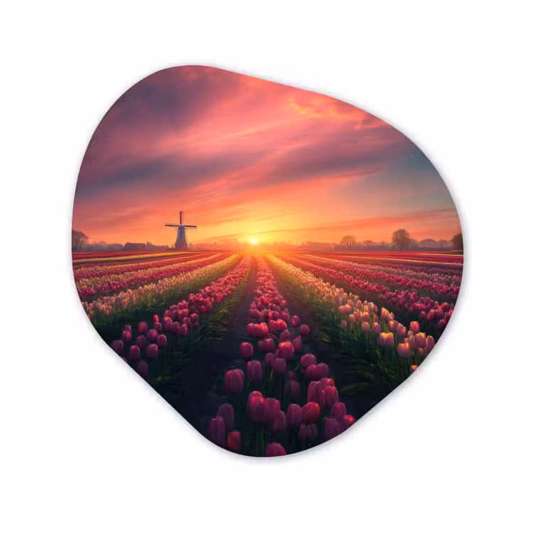 Windmolen - Zonsondergang - Landschap Wandcirkel Organisch Plexiglas middel -3d