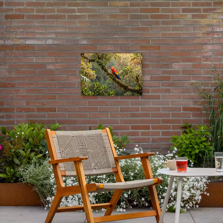 Ara - Jungle - Rood Tuinposter op houten frame 2 cm dik klein -sfeer3