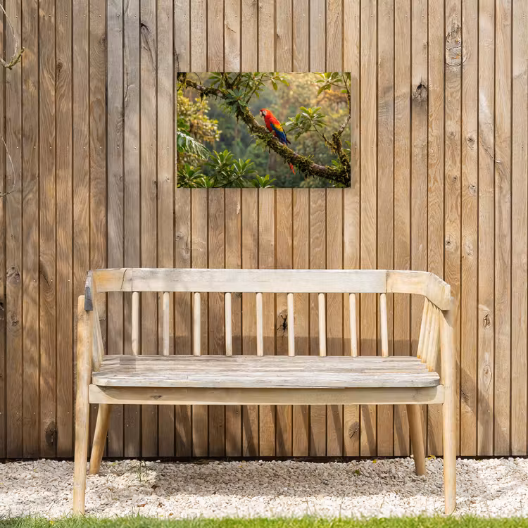 Ara - Jungle - Rood Tuinposter op houten frame 2 cm dik klein -sfeer4