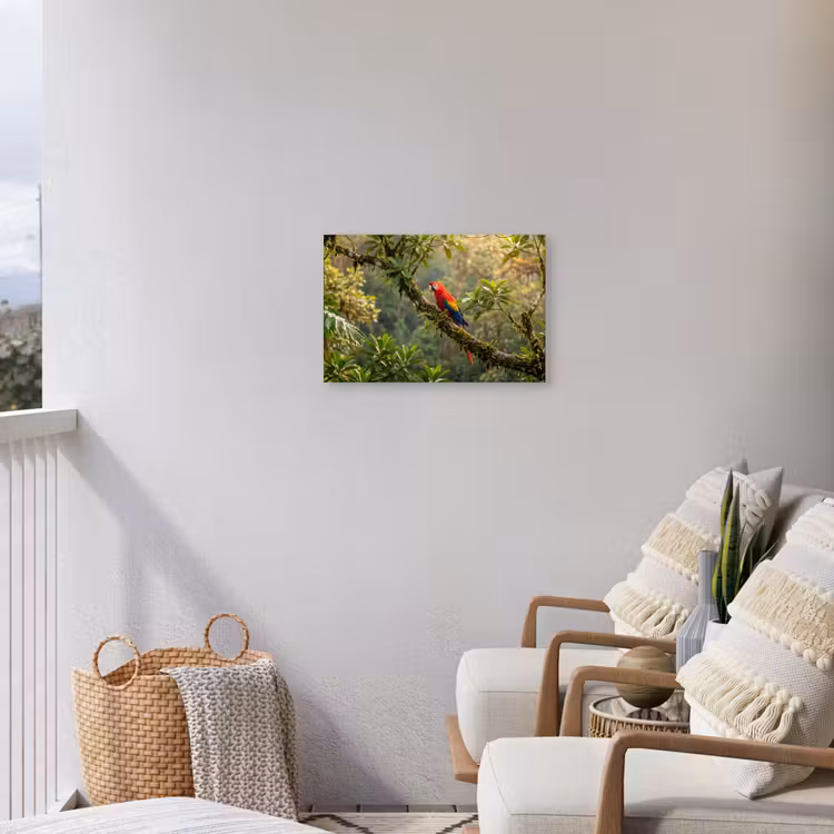Ara - Jungle - Rood Tuinposter op houten frame 2 cm dik klein -sfeer1