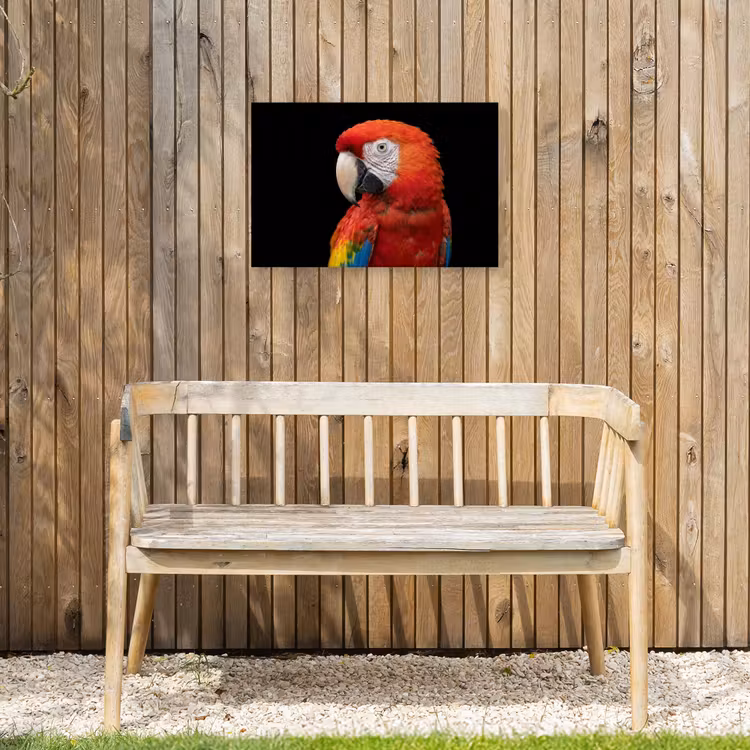Ara - Portret - Rood Tuinposter op houten frame 2 cm dik klein -sfeer4