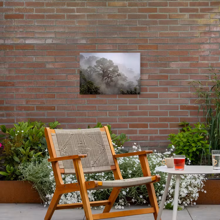 Boom - Mistig - Bos - Groen - Natuur Tuinposter op houten frame 2 cm dik klein -sfeer3