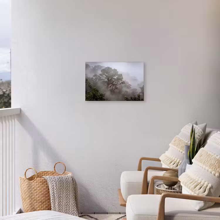 Boom - Mistig - Bos - Groen - Natuur Tuinposter op houten frame 2 cm dik klein -sfeer1