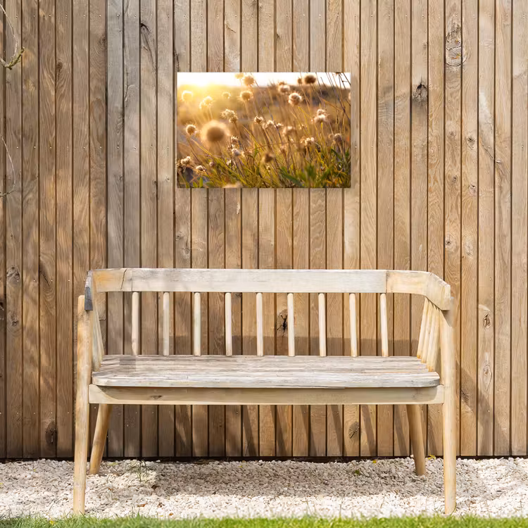 Verlichte zaadhoofden in de avondzon Tuinposter op houten frame 2 cm dik klein -sfeer4