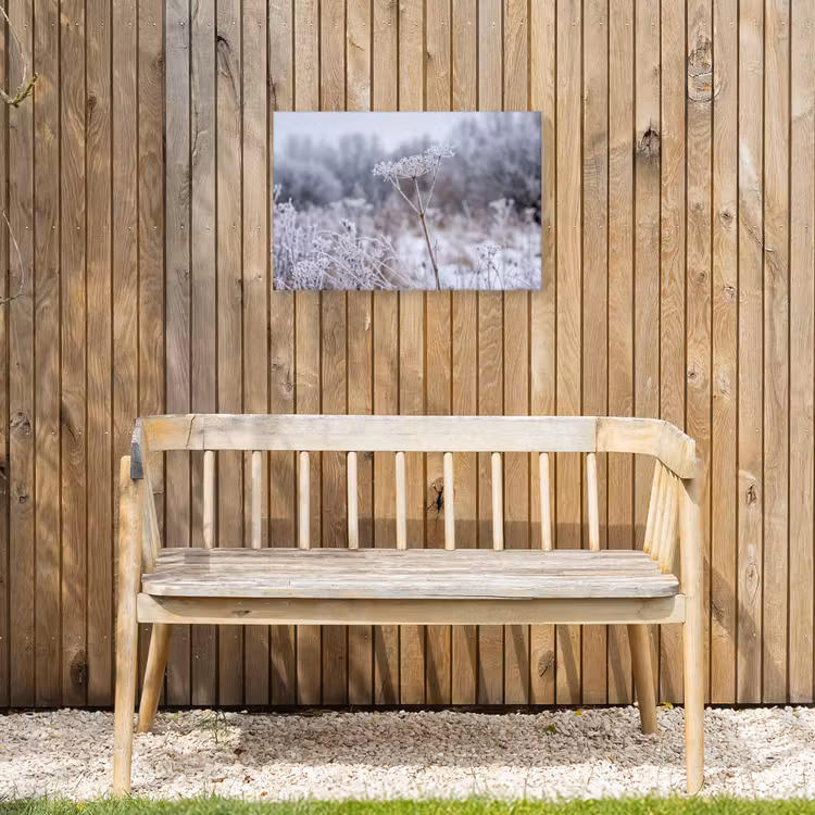 Schermbloem - Rijp - Kristallen - Winter - Delicaat Tuinposter op houten frame 2 cm dik klein -sfeer4