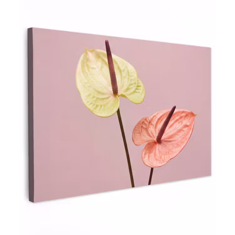 Bloemen - Anthuriums - Geel - Roze Tuinposter op houten frame 2 cm dik klein -3d
