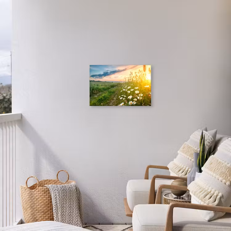 Bloemen - Madelief - Natuur - Zon - Horizon Tuinposter op houten frame 2 cm dik klein -sfeer1