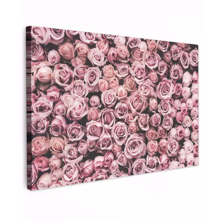 Bloemen - Rozen - Natuur - Roze - Botanisch Tuinposter op houten frame 2 cm dik klein -3d