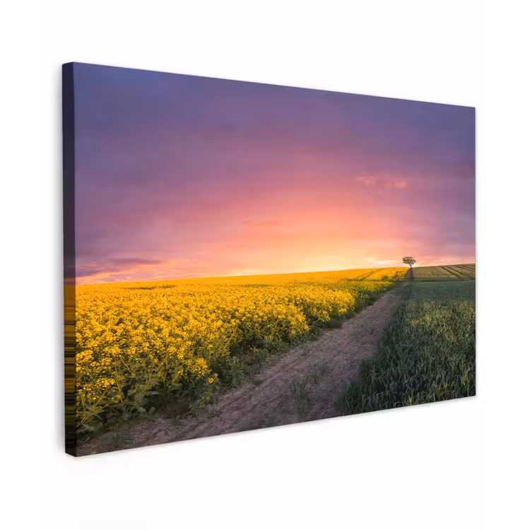 Bloemen - Weg - Lucht - Geel - Paars - Zonsondergang - Natuur Tuinposter op houten frame 2 cm dik klein -3d